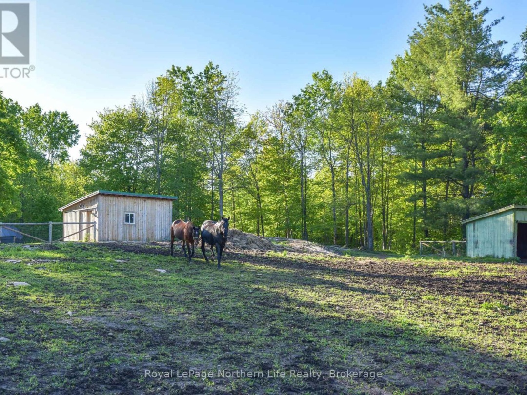 1028 Carlyon Line, Severn
