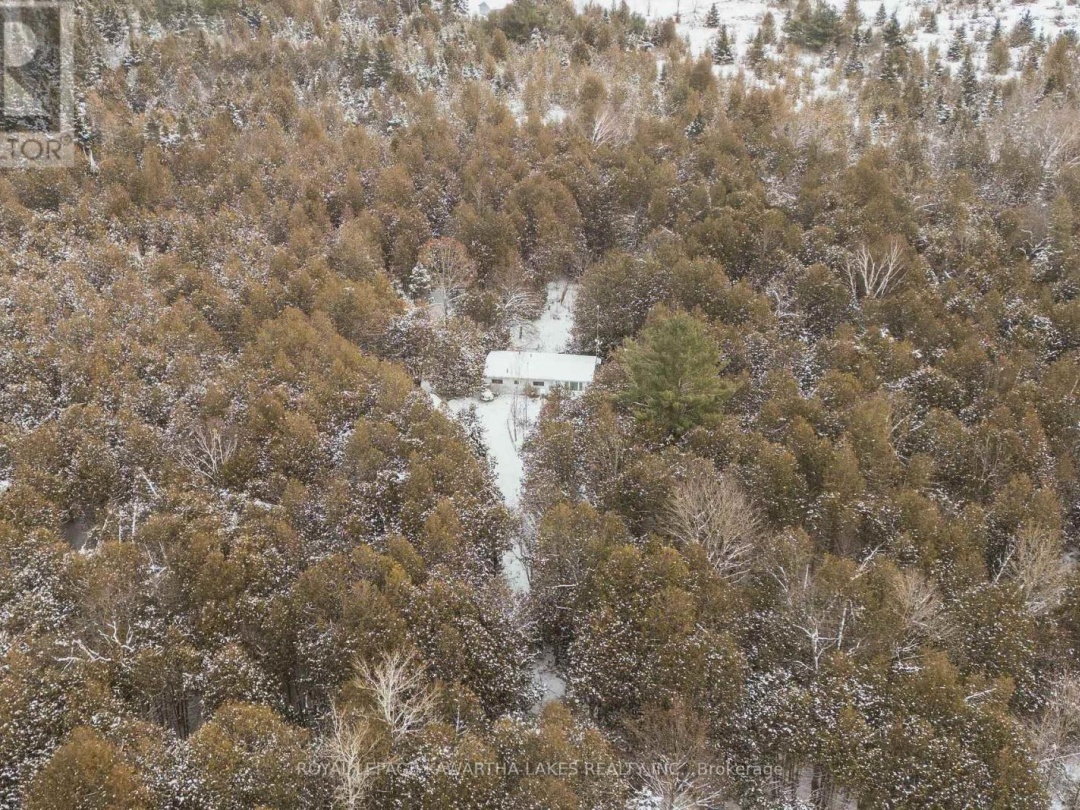 38 FELL STATION DRIVE, 