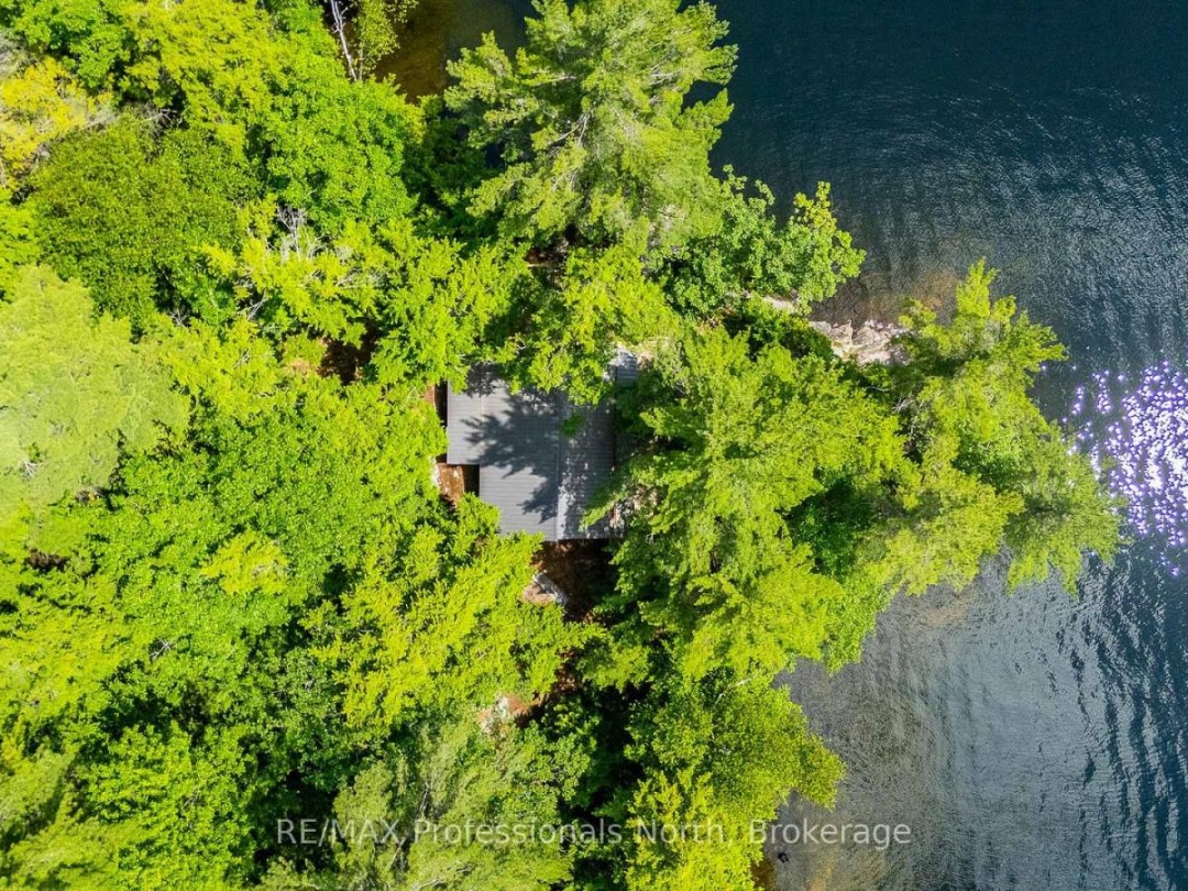 53437 BIG HAWK LAKE, 
