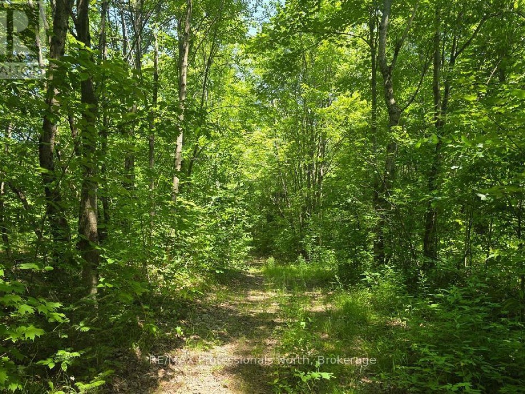 1134 WALKERS LINE ROAD, 