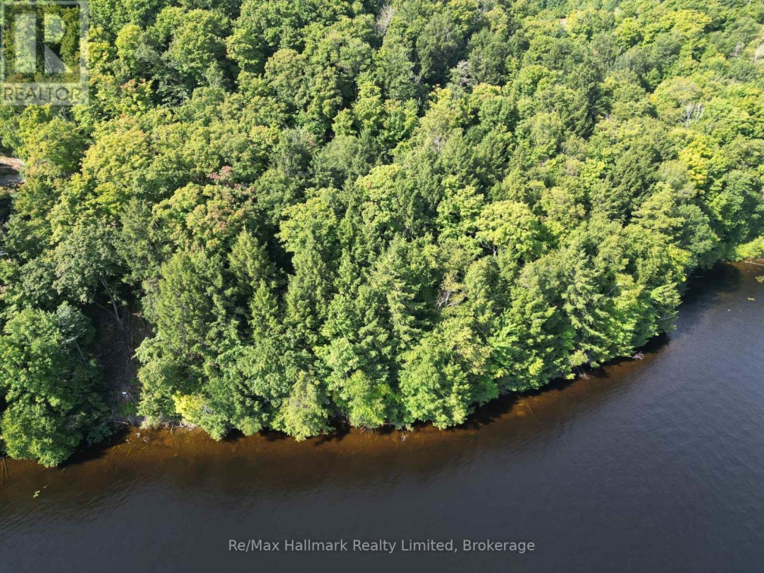 171 Town Line Road E, Fairy Lake