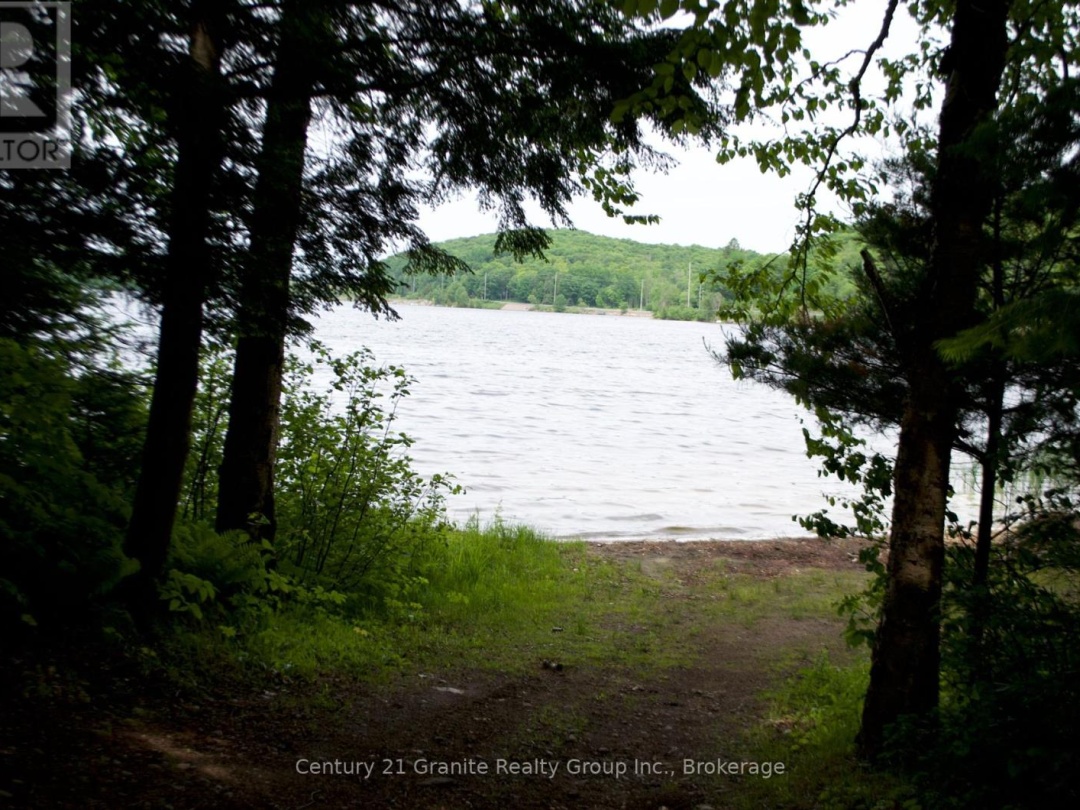 LOT 10 LOON LAKE ROAD S, 