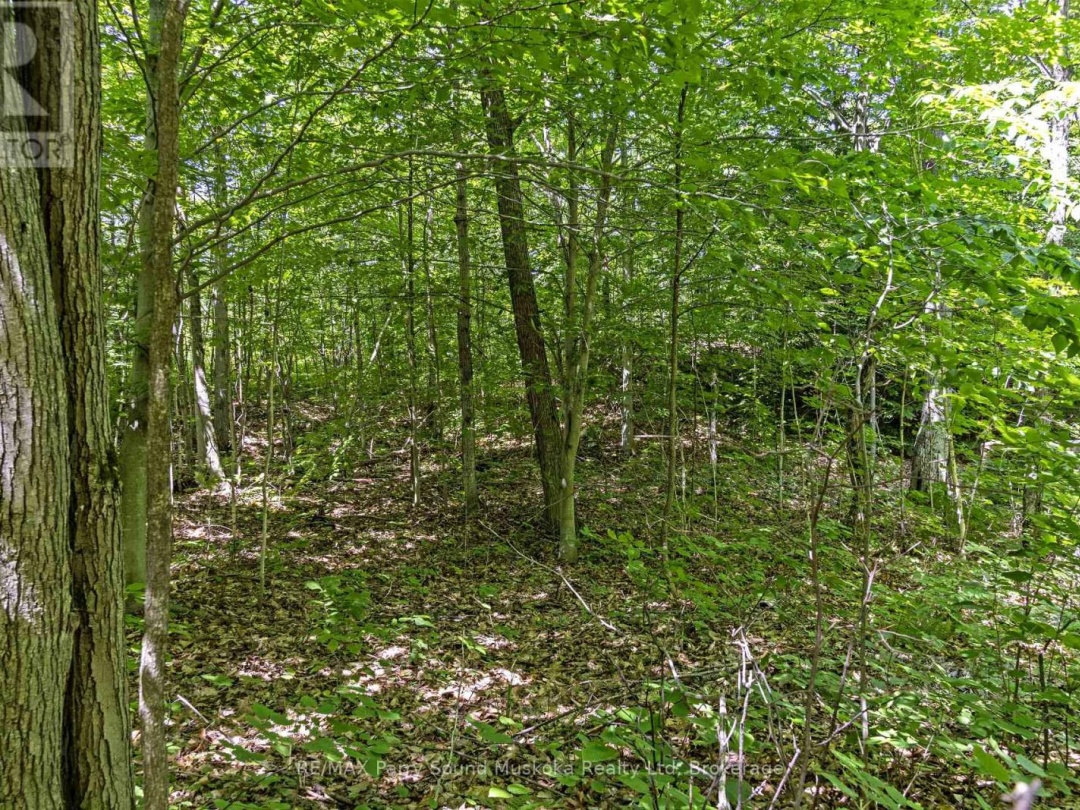 34B BELL LAKE ROAD, 