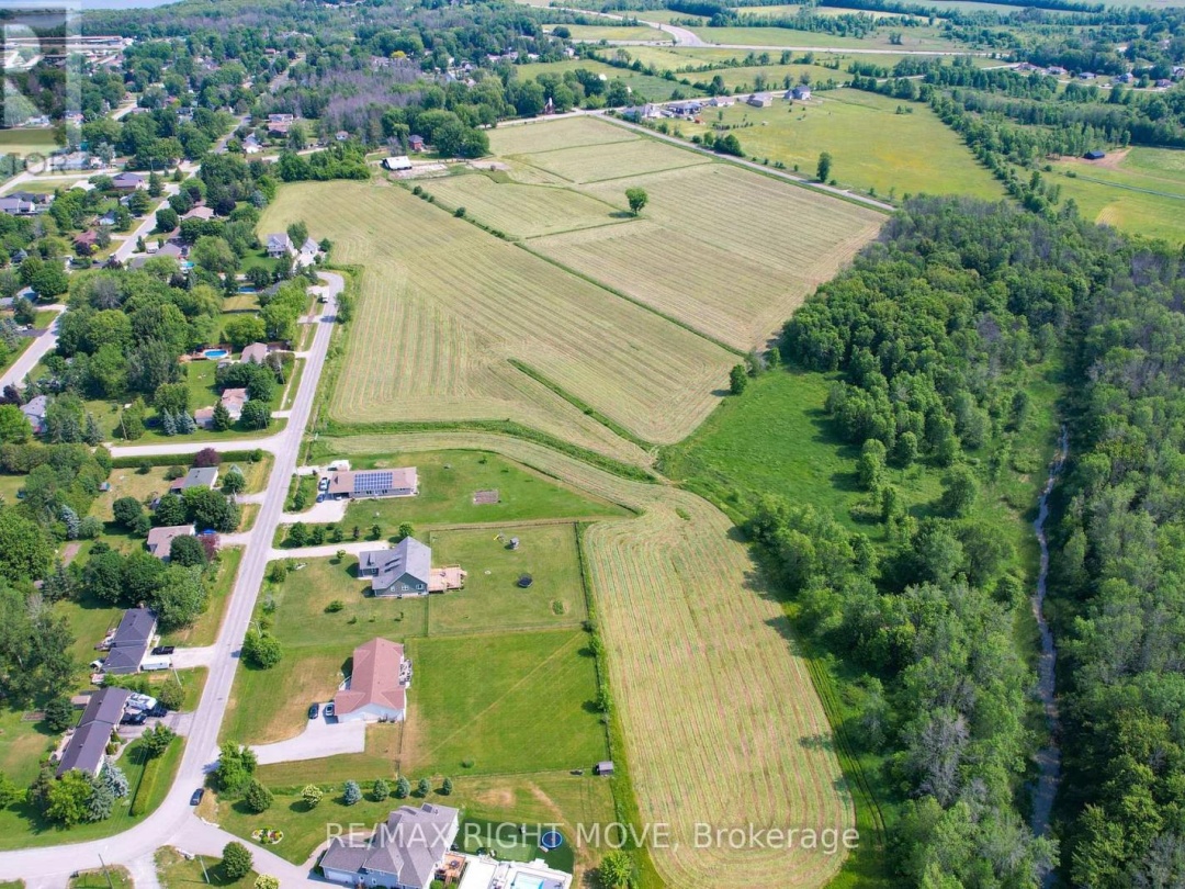 51 BALSAM ROAD, 