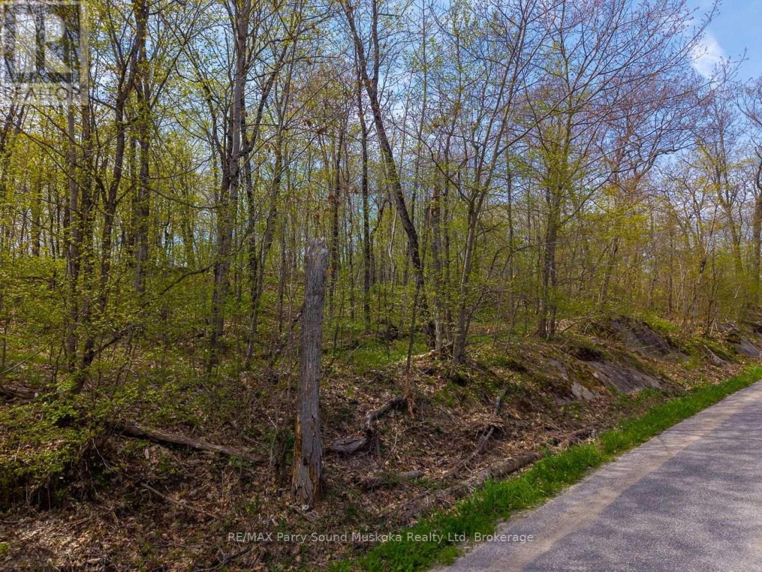28 Beaver Trail, McDougall