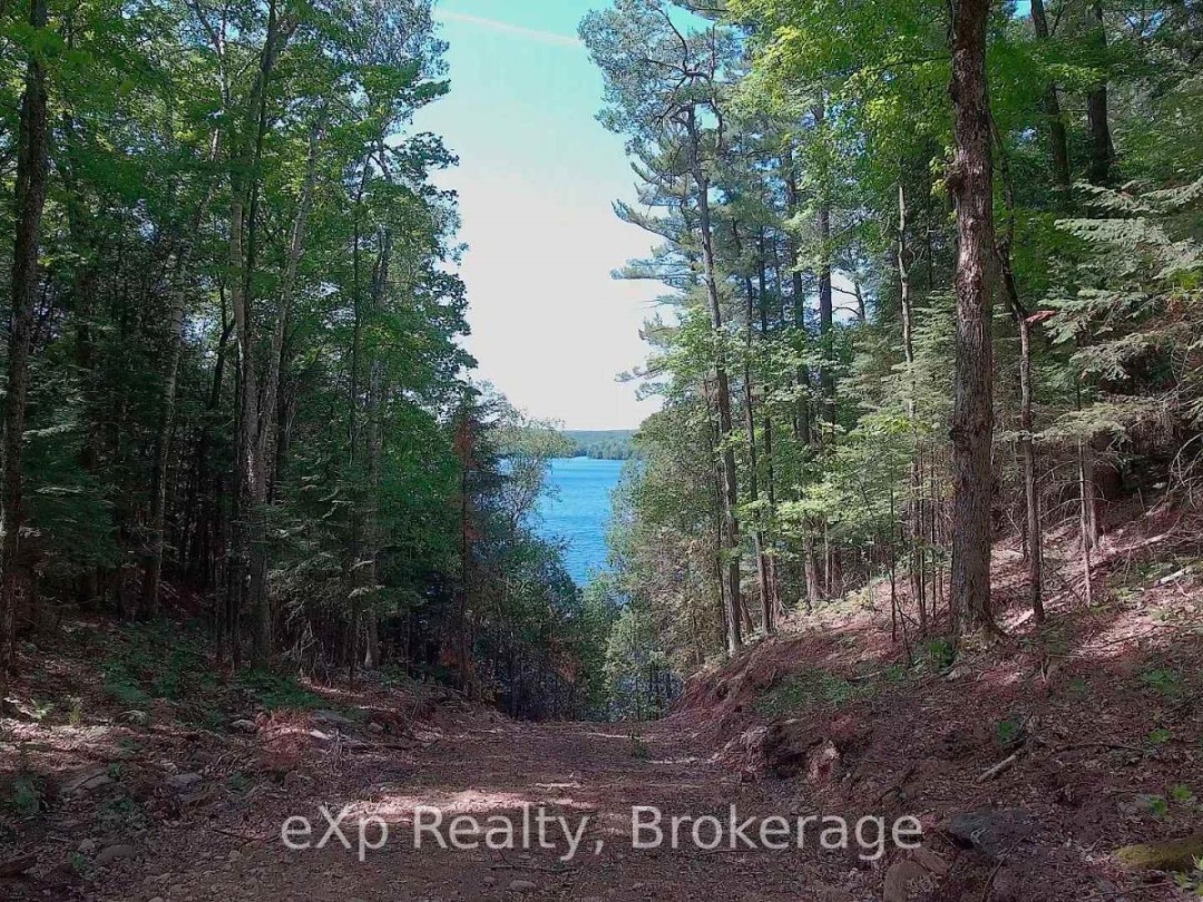 Lot # 4 Gonnsen Trail, Drag Lake