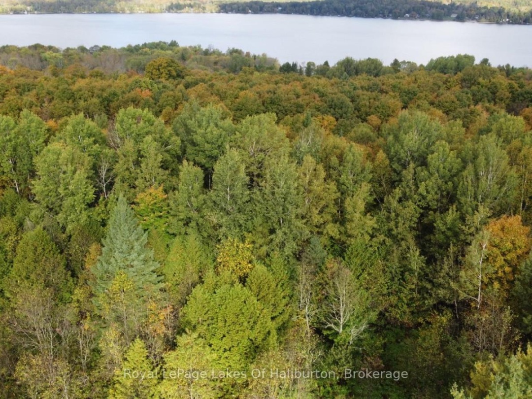Lot 67 Chelsea Lane, Maple Lake