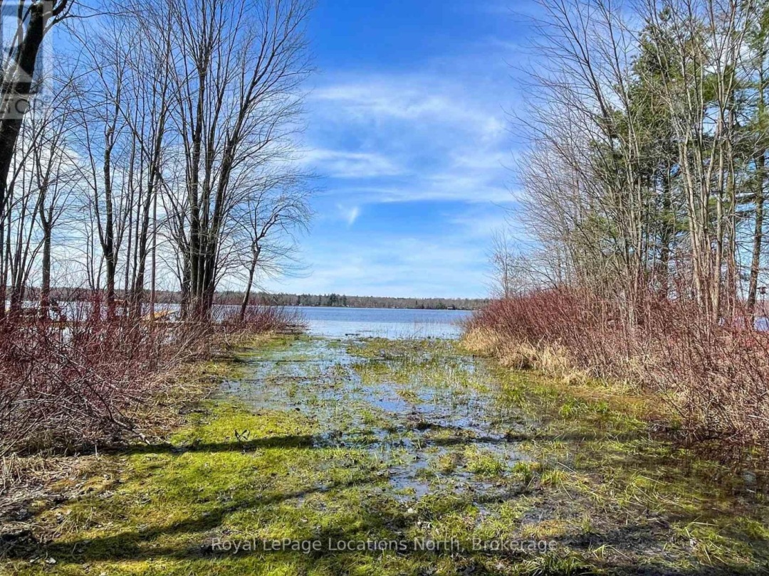 239 Monck Rd Cty 45, Young Lake