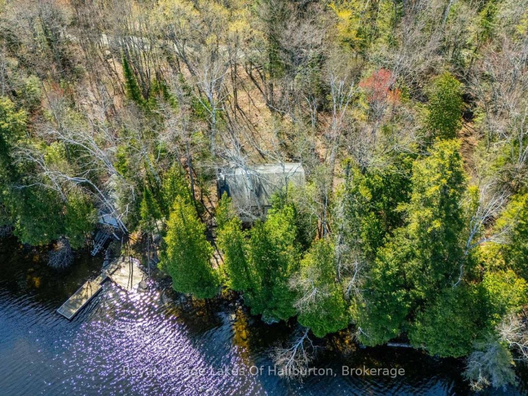 1096 Reg's Trail, Drag Lake