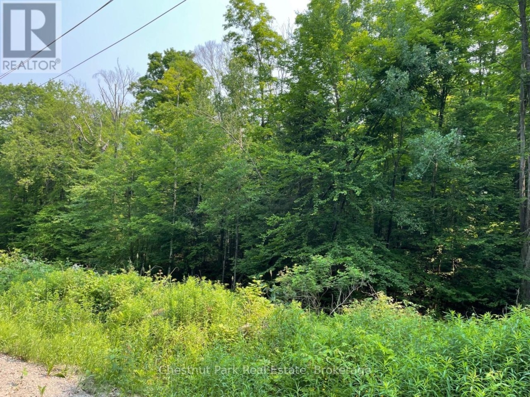0 COLEMAN LAKE ROAD, 
