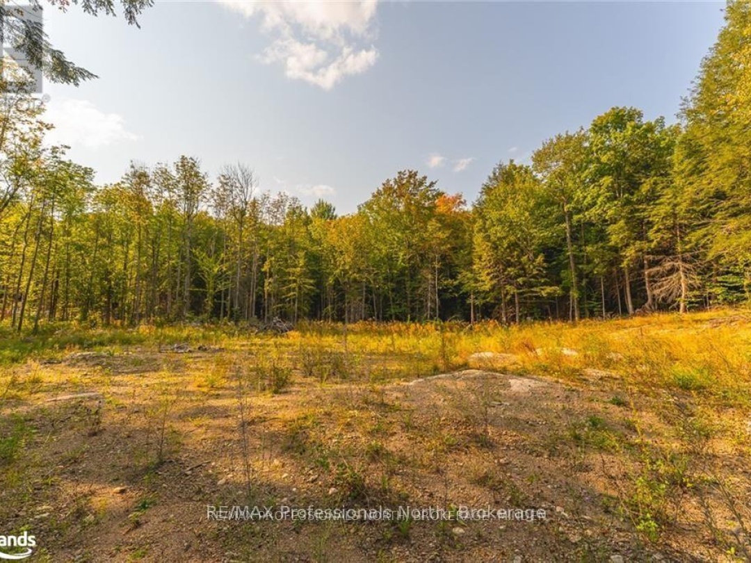 1205 Little Hawk Lake Road, Algonquin Highlands