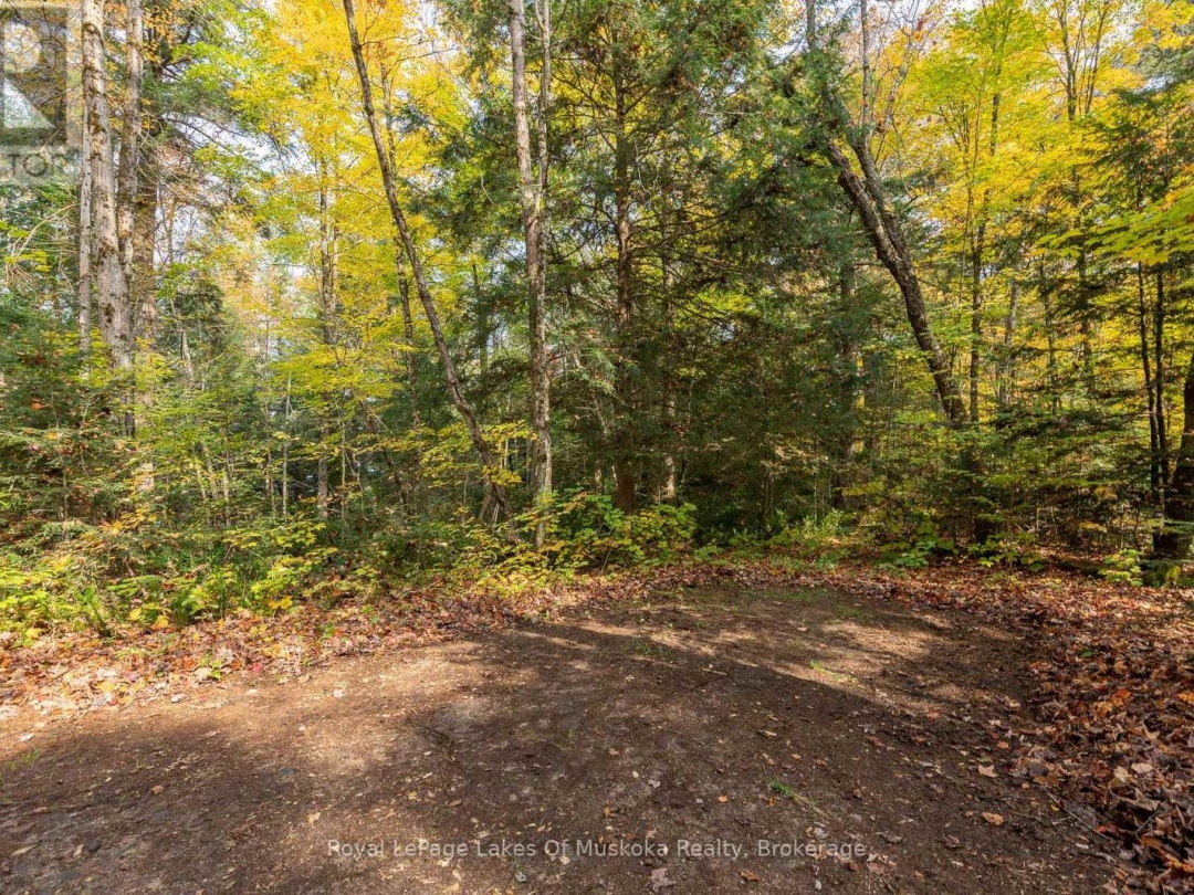 1086 SOUTH TOAD LAKE ROAD, Toad Lake