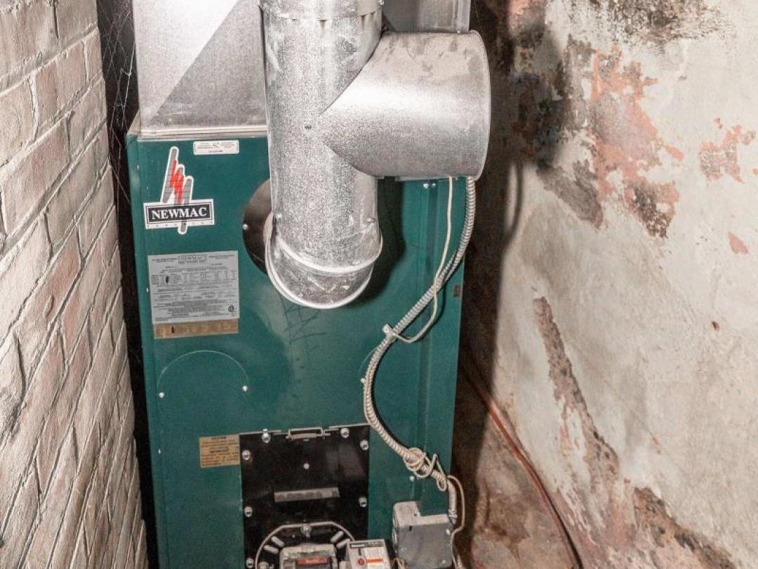 31 FLORENCE STREET W, 