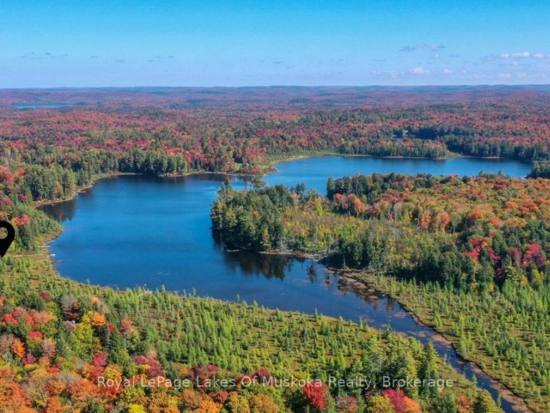 1420 Limberlost Road, Pell Lake
