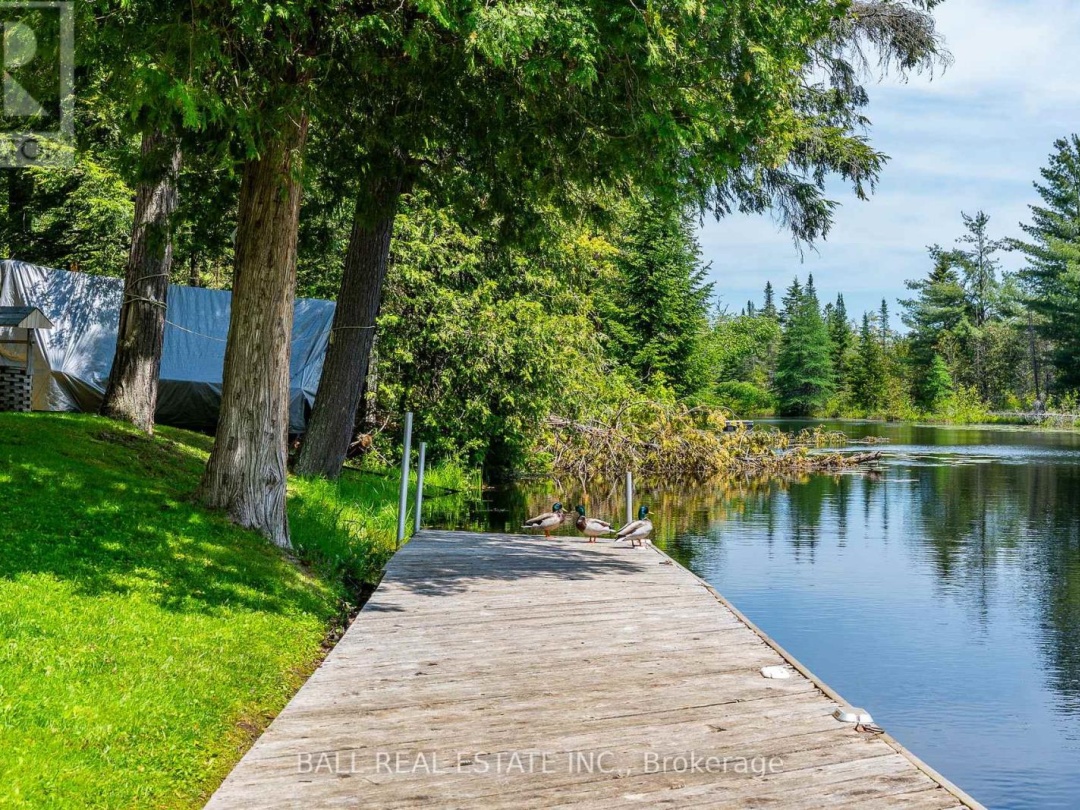 73 SUNSET COURT, Little Bald Lake