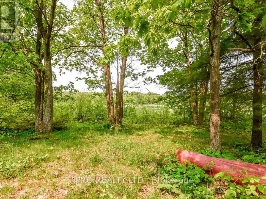 382 Corrievale Road, Little Lake