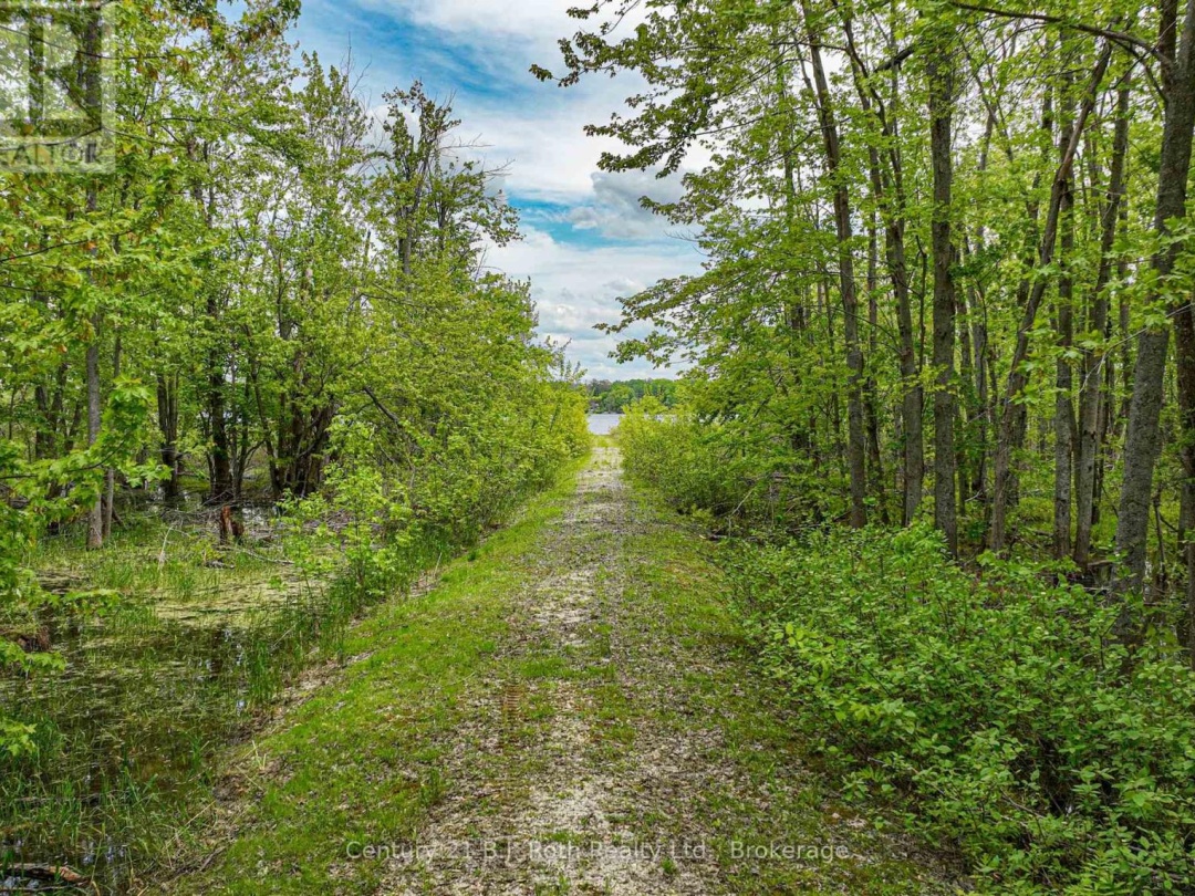 3516 Kirkfield Road, Dalrymple Lake