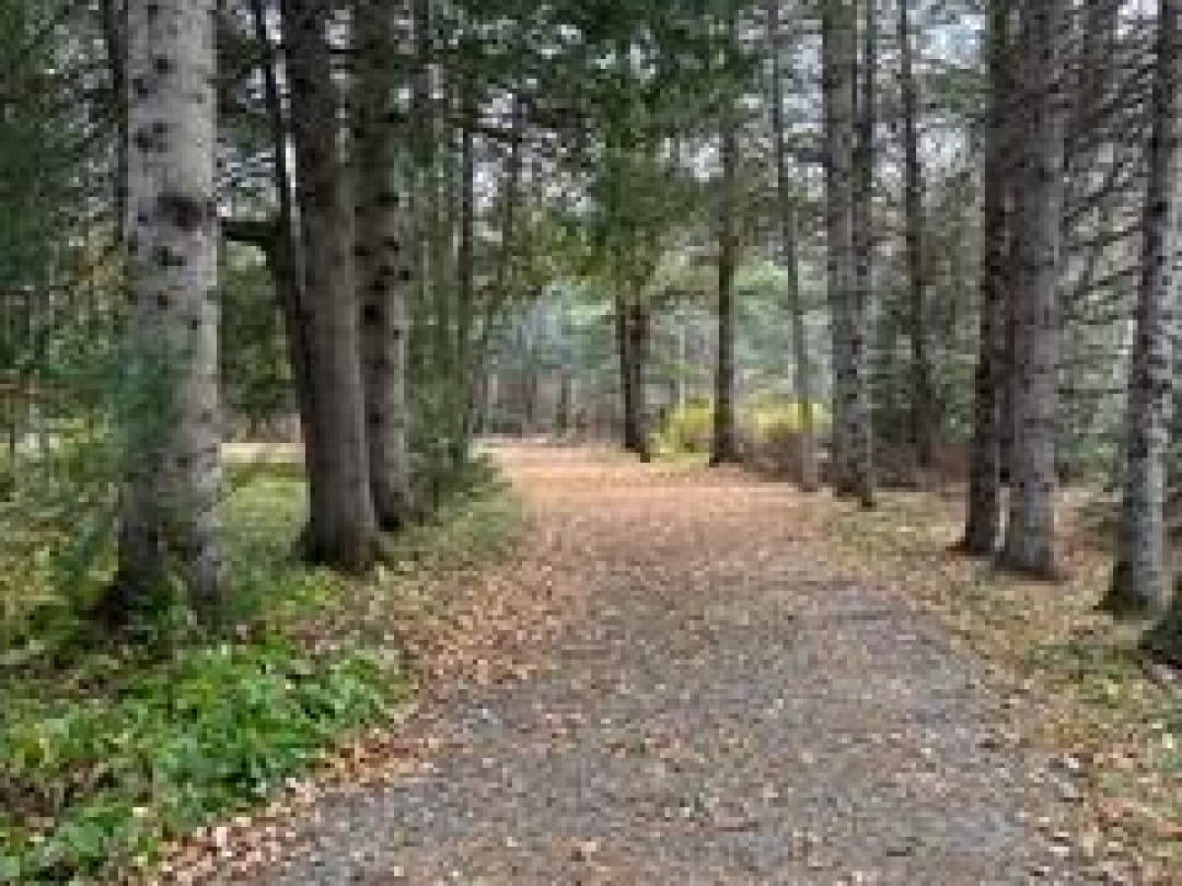 82 Bradley Road, Blackwater Lake