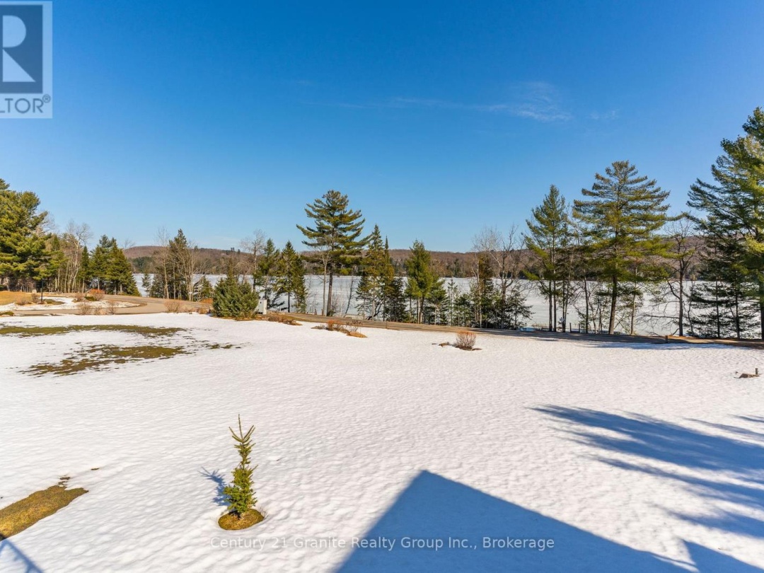 17 Webb Circle, Kashagawigamog Lake