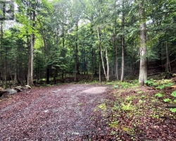 Property for Sale on Tbd County 21 Road, Minden Hills (Minden)