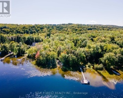 Cottage for Sale on Maple Lake