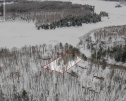 Cottage for Sale on Maclean Lake