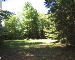 Property for Sale on 2823 Harburn Road, Dysart et al (Dudley)