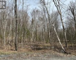 Property for Sale on Lot Silverwood Road, Minden Hills (Snowdon)
