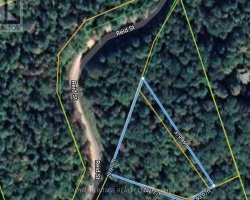 Property for Sale on 0B REID STREET, Trent Lakes