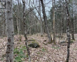 Property for Sale on Lot 2 Loch Erne Road, McDougall