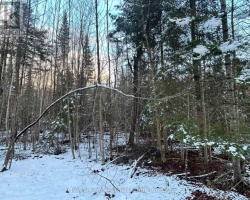 Property for Sale on 0 Sharon Lake Drive, Minden Hills (Minden)