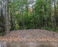 Property for Sale on LOT 1 TALLY-HO WINTER PARK ROAD, 