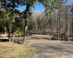 Property for Sale on Tbd Lakeview Street, Dysart et al (Dysart)