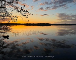 Cottage for Sale on Sparrow Lake