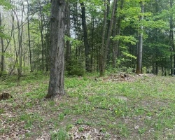 Property for Sale on 3460 Harburn Road, Dysart et al (Harburn)