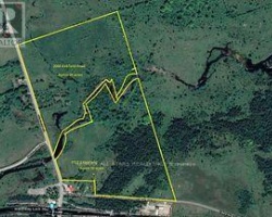 Property for Sale on Pt Lt 1 Talbot Road, Kawartha Lakes (Carden)