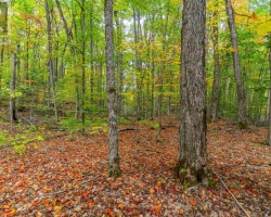Property for Sale on PART LOT 1 SALERNO LAKE ROAD, 