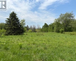 Property for Sale on 351 Ravenscliffe Road, Huntsville (Chaffey)
