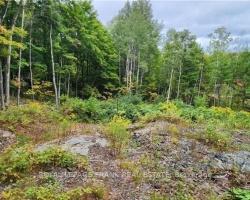 Property for Sale on 169 Northern Avenue, Trent Lakes
