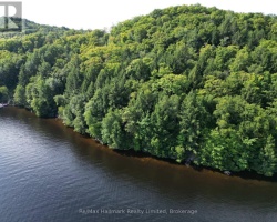 Cottage for Sale on Fairy Lake