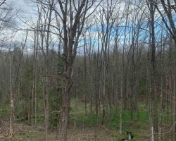 Property for Sale on 3052 Deep Bay Road, Minden Hills (Lutterworth)