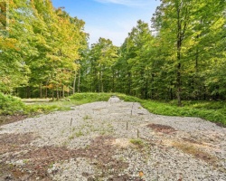 Property for Sale on 1409 Basshaunt Lake Road, Dysart et al (Guilford)