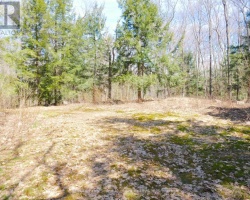 Property for Sale on 3 Greenwood Camp Road, Seguin