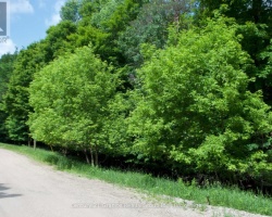 Property for Sale on LOT 7 RIDGEVIEW ROAD, 