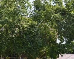 Property for Sale on 12 KING'S COURT, 