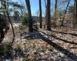 Property for Sale on 57 Isabella Street, Parry Sound