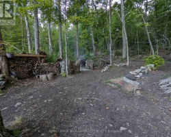 Property for Sale on 1035 HEARTS CONTENT DRIVE, 