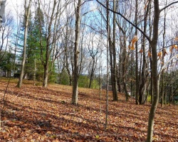 Property for Sale on 8 RICE LANE, 