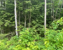 Property for Sale on 0 BIG HAWK LAKE ROAD, Algonquin Highlands (Stanhope)