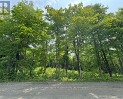 Property for Sale on 0 Loucks Road, Seguin